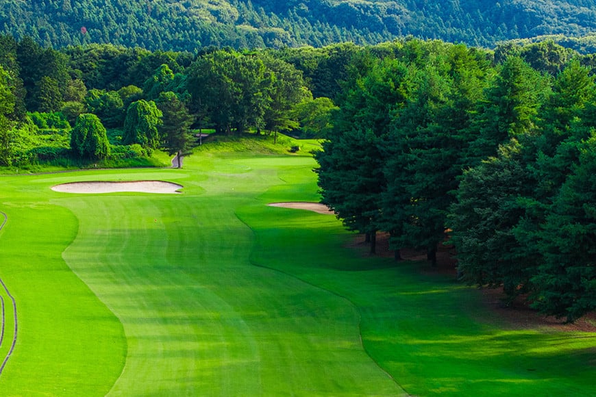 å¹³æ¥ãæåŸ
åž2åæ§çš ããŽã«ã 5 ã«ã³ããªãŒãããŸãã©ã¬ã¹ãã ãŽã«ãå Ž å©çšåž ãã±ãã ãŽã«ã æåŸ
åž å
¥å Žåž èšå 颿±è¿èŸº éŠéœå 颿± ã¯ãŒãã³ å²åŒåž éåž ãŽã«ã奜ã ã®ãã ãã¬ãŒã³ã ã®ããåž ãŽã«ãåž å¹³æ¥ ãã¬ãŒåž æœèšå©çšåž èšåç ç¬ éåž EN-001