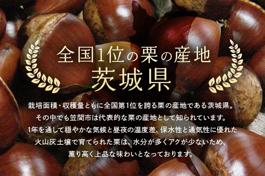 超特選! 熟成させた 笠間の焼栗 愛宕山 冷蔵 栗 くり クリ 焼き栗 電子レンジ レンジ調理 焼栗 きんとん 果物 デザート 栗ご飯 栗ごはん フルーツ 秋の味覚 スイーツ 熟成栗 和スイーツ プレゼント 贈答用 秋の味覚 甘栗 おやつ 茨城 国産 茨城県 笠間市 AQ-003