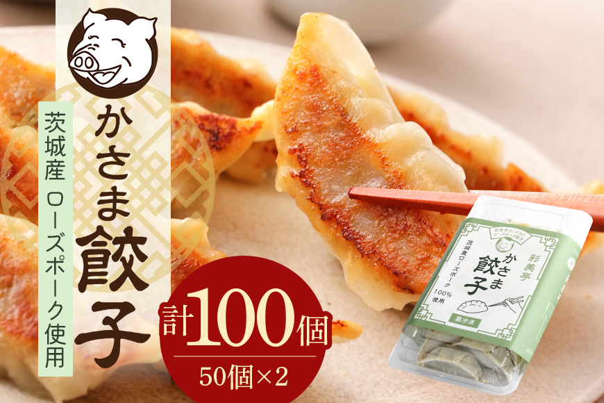 彩美亭 かさま餃子 ローズポーク100個 HV-008