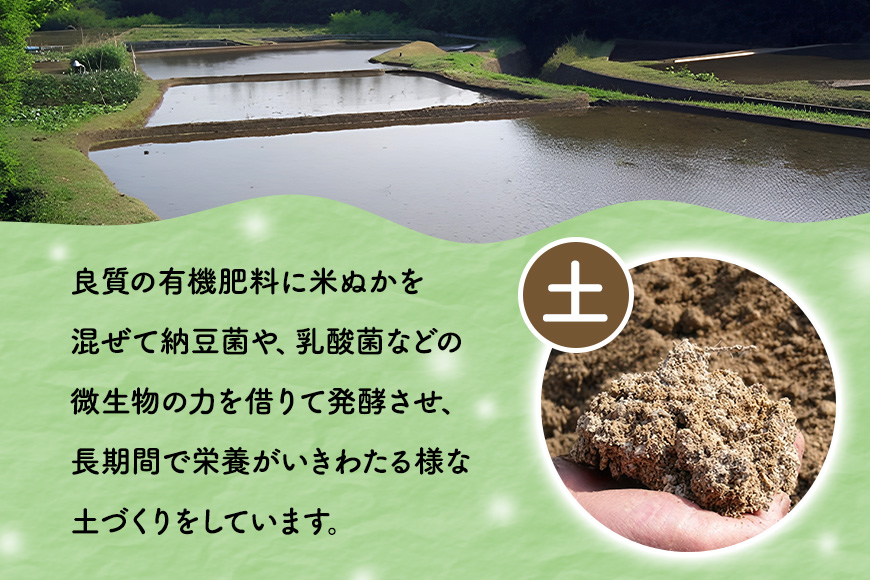 【3ヶ月定期便】令和7年度 殺虫剤・殺菌剤不使用｜こしひかり（5kg） 合計15kg 定期便 コシヒカリ 米 こしひかり 精米 ブランド米 お米 白米 5kg 国産 贈答 ギフト おにぎり 弁当 R7年産 ごはん おいしい 旨い ふっくら お米 茨城県 笠間市 いばらき