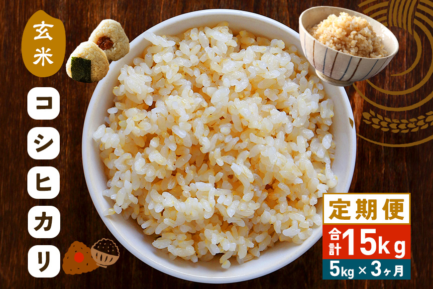 【3カ月定期便】 令和7年度 笠間産 コシヒカリ 5kg (5kg×3回 計15kg) 玄米 定期便 米 げんまい こめ コメ ご飯 ごはん 農家直送 産地直送 国産 茨城県 笠間市 青木商店 【6月末まで受付】