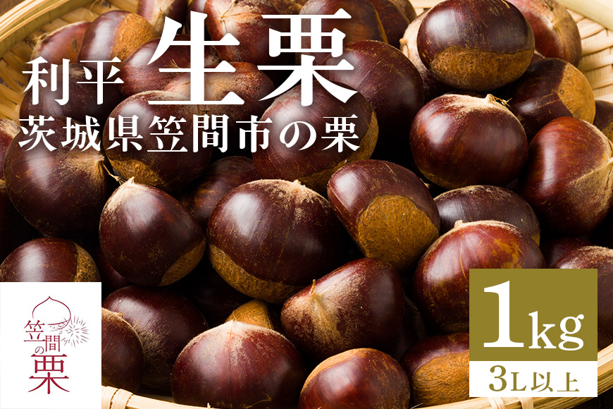 【2026年 秋 先行予約】 笠間の栗・箱田農園の生栗「利平」1kg（3L以上） 栗 クリ くり 生栗 期間限定 数量限定 茨城県 笠間市 JN-005