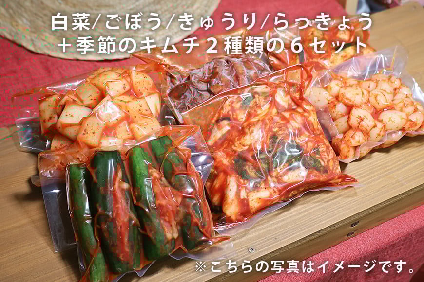 キムチ 6種 (きゅうり らっきょう ごぼう 白菜 季節のキムチ2種 )セット 2.1kg ~ 2.7kg (1袋 約350~450g×6種類) 本場韓国の味 手作りキムチ 胡瓜 ラッキョウ ゴボウ 6種 セット 韓国 AF-003