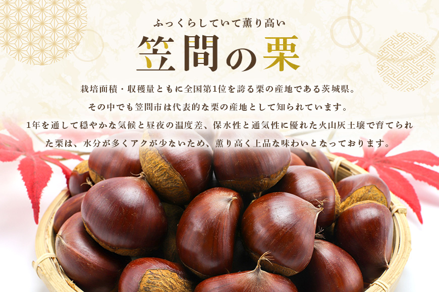 【2026年 秋 先行予約】 笠間の栗・箱田農園の生栗「ぽろたん」1kg（3L以上） 栗 クリ くり 生栗 期間限定 数量限定 茨城県 笠間市 JN-004
