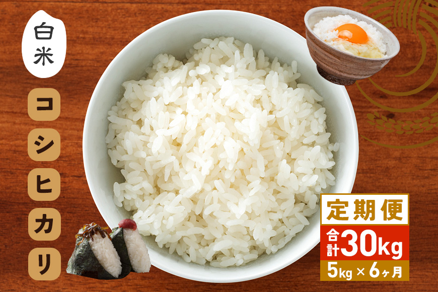 【6カ月定期便】 令和7年度 笠間産 コシヒカリ 5kg (5kg×6回 計30kg) 精米 定期便 米 白米 こめ コメ ご飯 ごはん 農家直送 産地直送 国産 茨城県 笠間市 青木商店 【3月末まで受付】