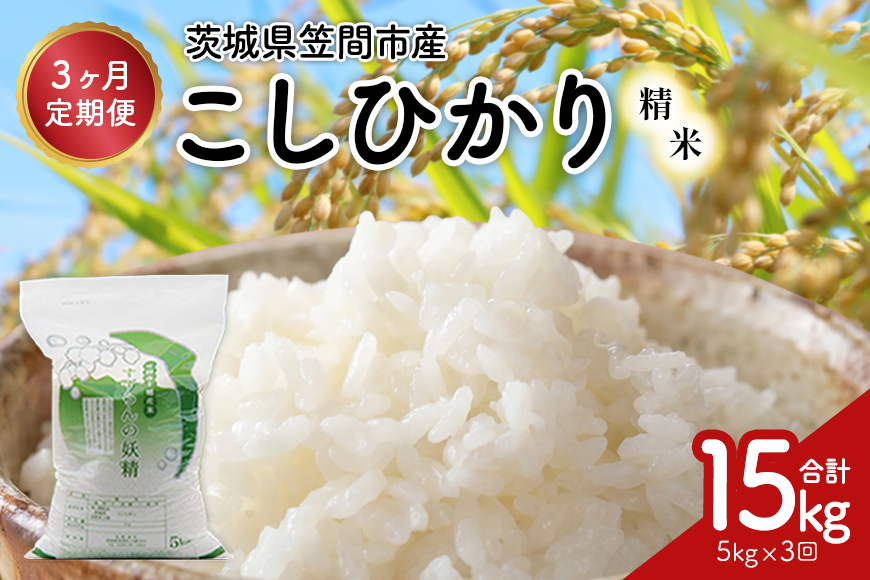【3ヶ月定期便】令和7年度 殺虫剤・殺菌剤不使用｜こしひかり（5kg） 合計15kg 定期便 コシヒカリ 米 こしひかり 精米 ブランド米 お米 白米 5kg 国産 贈答 ギフト おにぎり 弁当 R7年産 ごはん おいしい 旨い ふっくら お米 茨城県 笠間市 いばらき
