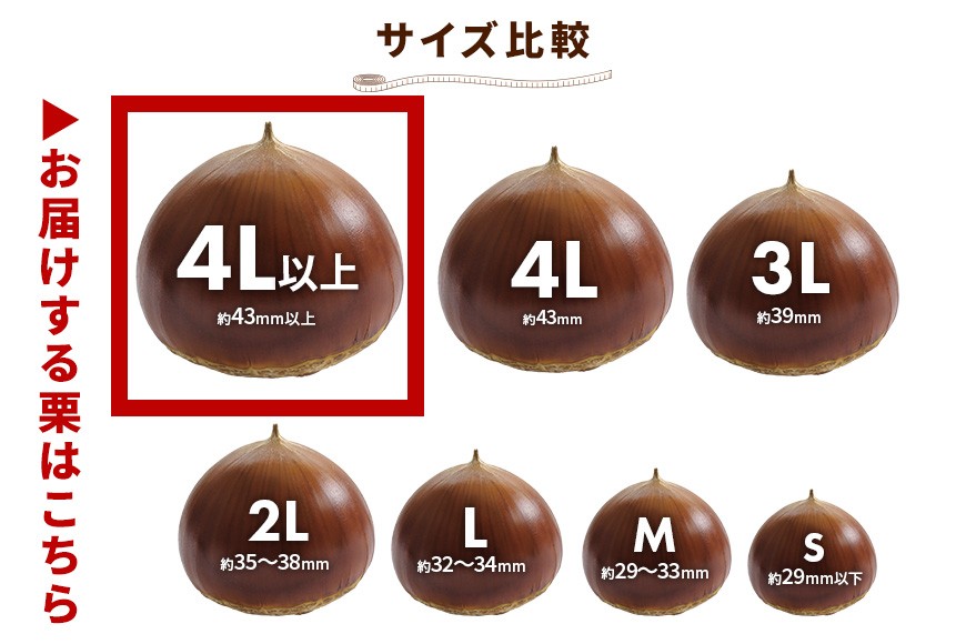 çæ 1kg è¶
ç¹å€§ 4Lãµã€ãºä»¥äž æ ãã åœç£ åœç£æ åæ ã®ãã ãã¬ãŒã³ã ç¹å€§ 倧ãã å€§ç² ã¡ã¬ããã³ ç§ æ¬ ãã〠ã¹ã€ãŒã æç© ãã«ãŒã çŒãæ æ ã飯 æ ãããšã æ ããã æ çç£é æ¥æ¬äž ãã°ãã GA-006