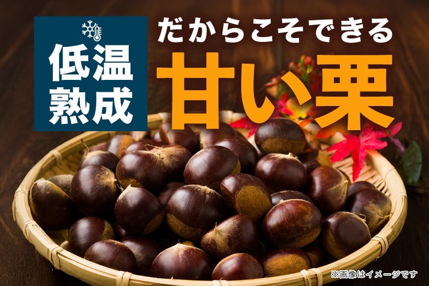 生栗 1kg 利平 栗 くり 国産 2L サイズ 以上 大きい 大粒 取り寄せ 笠間 茨城 和栗 甘栗 低温熟成 ギフト プレゼント 秋 旬 おやつ スイーツ 果物 フルーツ 栗ご飯 栗きんとん 栗おこわ 冷蔵 栗生産量 日本一 いばらき AH-012