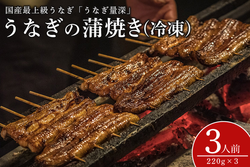 【TVで紹介されました】 うなぎ 3人前セット 土用の丑の日 ウナギ うなとろ おすすめ 蒲焼き 蒲焼 国産 解凍 冷凍 加工品 土用 丑の日 お歳暮 お中元 お祝い 笠間市 茨城県 とろろ 老舗 贈答 贈り物 真空パック FJ-008