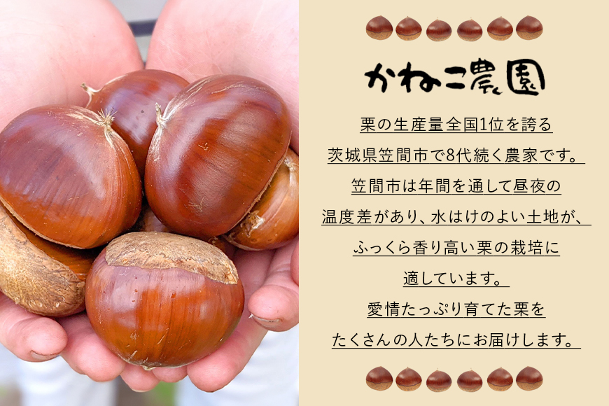 ã2026幎å
è¡äºçŽã ç¬ éã®æ ããã蟲åã®ããæ ïŒ300gÃ2ããã¯ïŒ æ°ééå® æ ãã ã¯ãª ããæ åœç£ åœç£æ åæ æç© ãã«ãŒã ã®ãã ãã¬ãŒã³ã ç§ æ¬ ããã€ ç¬ é ãã㟠èšåç ãã°ãã