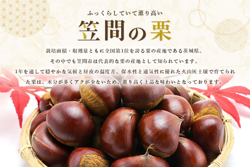 【ワケあり】 かさま 熟成栗 訳あり むき栗 1.5kg(500g×3個) 不揃い 訳アリ 手作業 皮むき 栗 生栗 むき栗 冷凍 くり クリ 国産 国産栗 和栗 甘栗 栗ご飯 栗きんとん 栗おこわ 甘露煮 秋 旬 スイーツ マロン 皮むき 保存料不使用 無添加 冷凍 保存 先行予約 笠間 茨城県 BH-023
