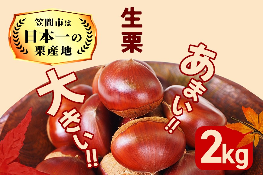 【2026年 秋 出荷】生栗 1kg×2袋 2kg 特大 サイズ 3L 以上 大粒 大きい 数量限定 くり クリ 笠間の栗 栗ごはん カサマロン 国産 先行予約 モンブラン 栗きんとん 冷蔵 笠間市 KA-001