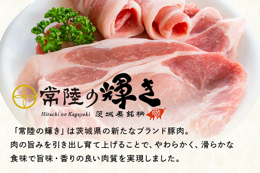 彩美亭 かさま餃子 常陸の輝き12個入り 2セット HV-002