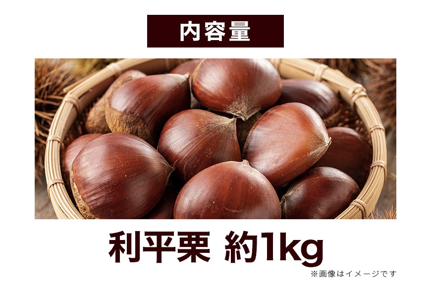 生栗 1kg 利平 栗 くり 国産 2L サイズ 以上 大きい 大粒 取り寄せ 笠間 茨城 和栗 甘栗 低温熟成 ギフト プレゼント 秋 旬 おやつ スイーツ 果物 フルーツ 栗ご飯 栗きんとん 栗おこわ 冷蔵 栗生産量 日本一 いばらき AH-012