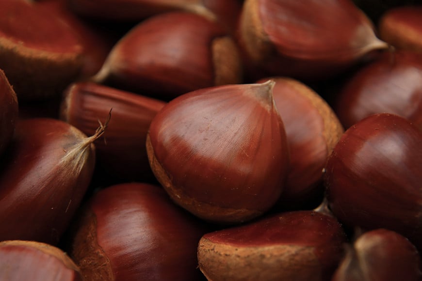 いわまの栗菓子「ぎゅ」BOX 3袋入り×4箱 栗 くり お菓子 栗菓子 おかし 間食 秋 生産量 日本一 小田喜商店 1袋 約60mm×40mm×17mm 笠間市 茨城県 いばらき AE-006