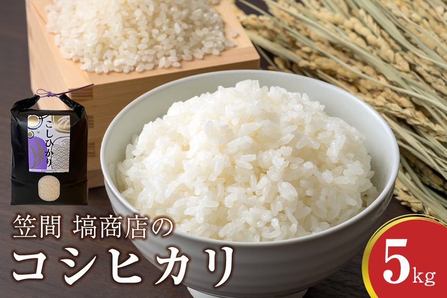 令和7年度産 笠間 塙商店の コシヒカリ 5kg 米 精米 ブランド米 お米 白米 国産 おにぎり 弁当 R7年産 ごはん おいしい 旨い ふっくら お米 茨城県 笠間市 いばらき ID-018