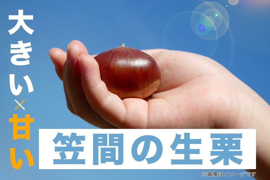 【2026年先行予約】 生栗 栗 2kg 2L 数量限定 国産 和栗 くり クリ スイーツ 果物 フルーツ 栗きんとん モンブラン 栗ご飯 栗ごはん 秋 旬 低温熟成 ギフト プレゼント 農産物直売所すわ 笠間市 栗生産量 日本一 茨城県 いばらき JV-004
