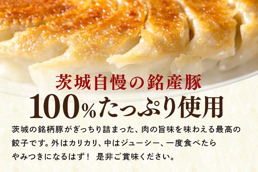 彩美亭 かさま餃子 ローズポーク100個 HV-008