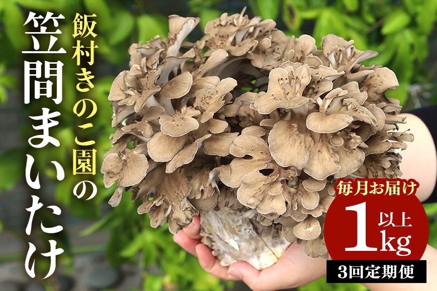 毎月【3回定期便 】飯村きのこ園の笠間まいたけ(1kg以上) CM-002