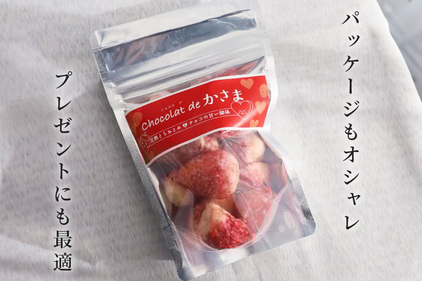 Chocolat de 縺九&縺セ 縺翫°縺励↑譫懷ョ溘す繝ァ繧ウ繝ゥ 螳檎溘→縺。縺翫→繧√ョ隧ー繧∝粋繧上○ BH-031