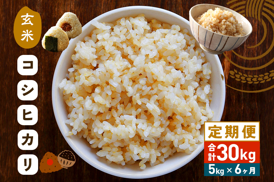 【6カ月定期便】 令和7年度 笠間産 コシヒカリ 5kg (5kg×6回 計30kg) 玄米 定期便 米 げんまい こめ コメ ご飯 ごはん 農家直送 産地直送 国産 茨城県 笠間市 青木商店 【3月末まで受付】