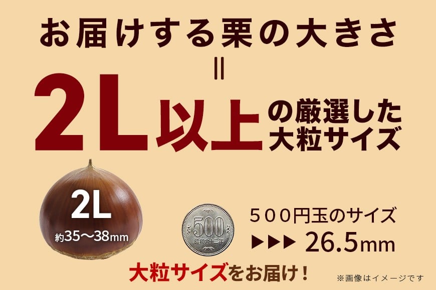 生栗 1kg 利平 栗 くり 国産 2L サイズ 以上 大きい 大粒 取り寄せ 笠間 茨城 和栗 甘栗 低温熟成 ギフト プレゼント 秋 旬 おやつ スイーツ 果物 フルーツ 栗ご飯 栗きんとん 栗おこわ 冷蔵 栗生産量 日本一 いばらき AH-012