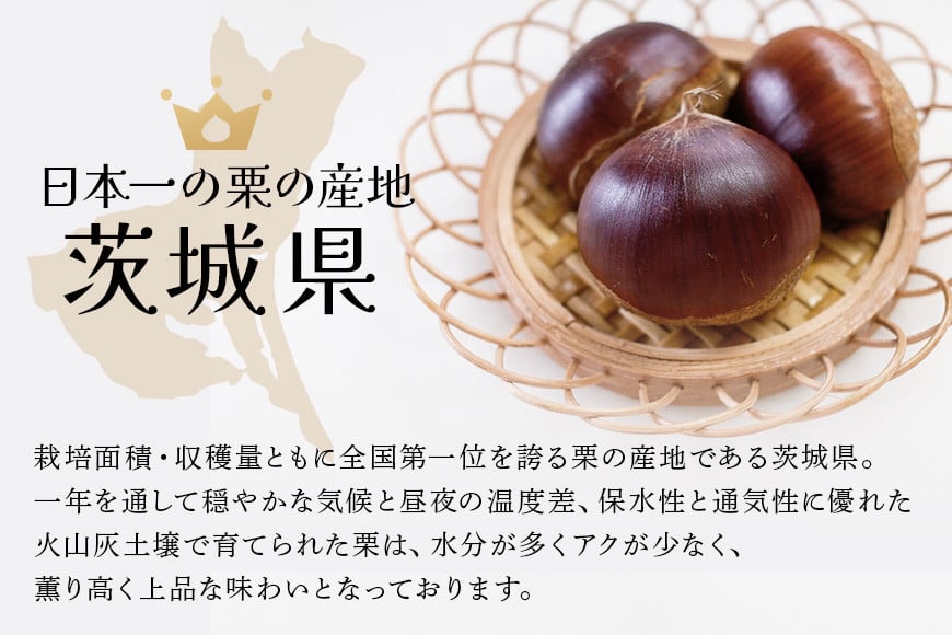 譬励励Μ繝ウ 8蛟句・繧 縲梧・オ縺上j縲ゅ 繝励Μ繝ウ 繧ケ繧、繝シ繝 譬 縺上j 繧ッ繝ェ 譬励せ繧、繝シ繝 蝗ス逕」 繧ョ繝輔ヨ 繝励Ξ繧シ繝ウ繝 Tortue(繝医Ν繝繝・) 隨髢灘ク 縺九&縺セ 闌ィ蝓守恁 縺縺ー繧峨″ BI-003