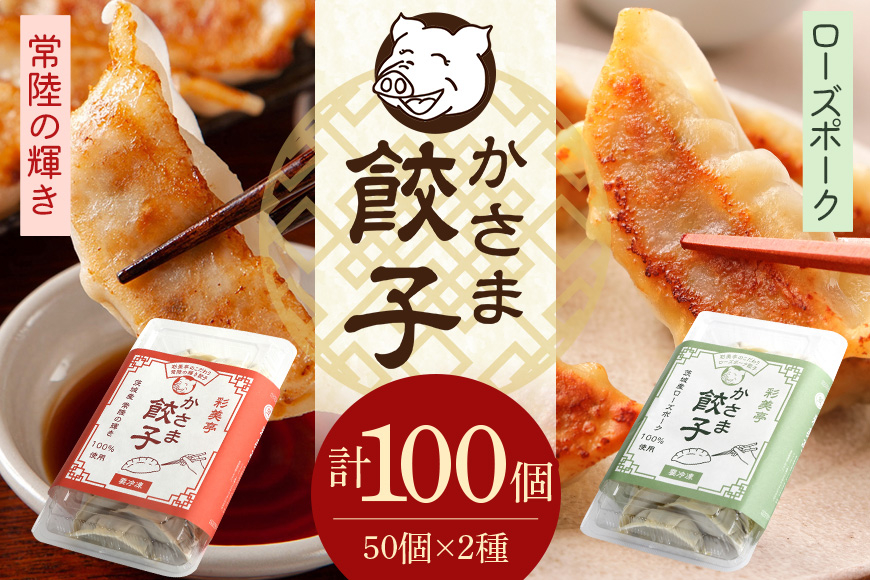 彩美亭 かさま餃子 常陸の輝き・ローズポークセット 100個 HV-009