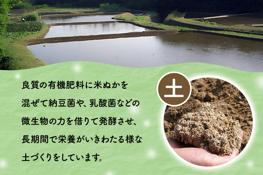 【12ヶ月定期便】令和7年度 殺虫剤・殺菌剤不使用｜こしひかり（5kg） 合計60kg 定期便 コシヒカリ 米 こしひかり 精米 ブランド米 お米 白米 5kg 国産 贈答 ギフト おにぎり 弁当 R7年産 ごはん おいしい 旨い ふっくら お米 茨城県 笠間市 いばらき