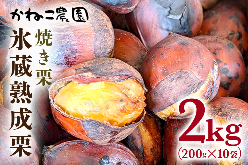 【2026年先行予約】 笠間の栗・かねこ農園の焼き栗 200g×10袋 栗 クリ くり 焼栗 茨城県 笠間市 ＜11月上旬～1月に順次発送予定 12月31日まで受付＞