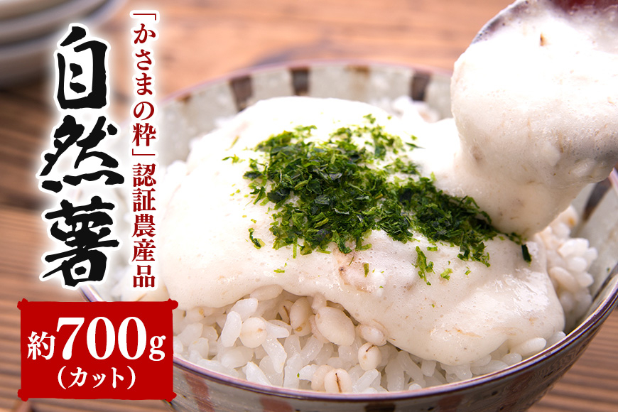 伊藤農園の自然薯カット 約700g AI-003