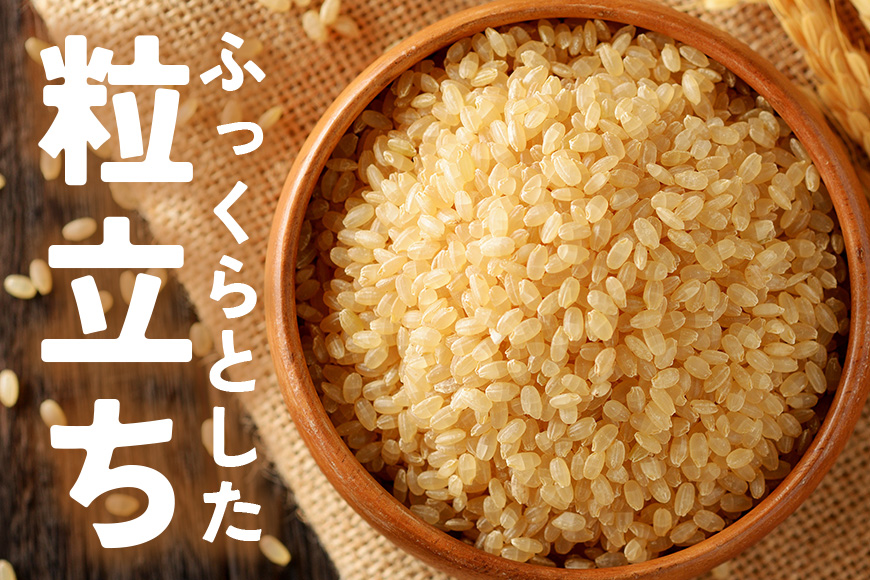 【3カ月定期便】 令和7年度 笠間産 コシヒカリ 5kg (5kg×3回 計15kg) 玄米 定期便 米 げんまい こめ コメ ご飯 ごはん 農家直送 産地直送 国産 茨城県 笠間市 青木商店 【6月末まで受付】