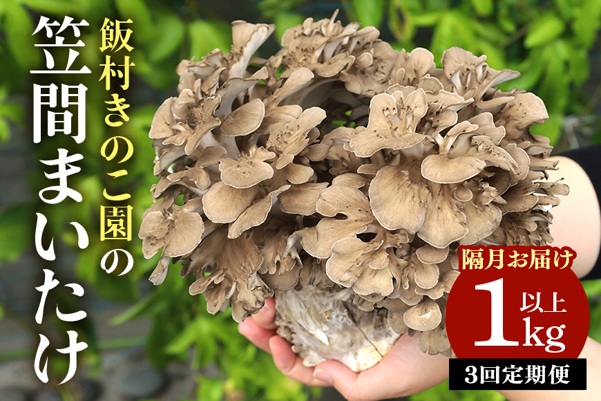 隔月【3回定期便 】飯村きのこ園の笠間まいたけ(1kg以上) CM-003
