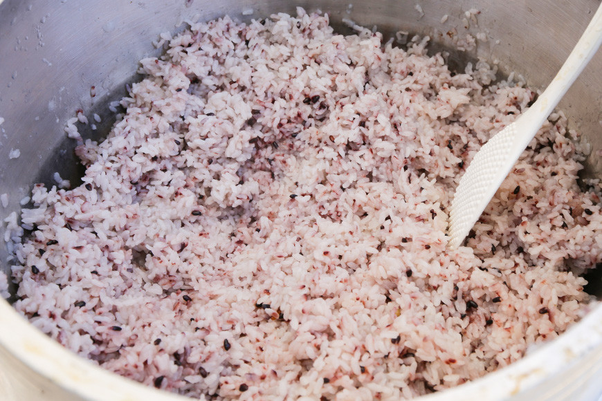 令和7年度 極上ランク 蛍の里のこしひかり 白米10kg(5kg×2袋) 黒米300g セット コシヒカリ 米 こしひかり 精米 ブランド米 お米 白米 10kg 黒米 300g 国産 贈答 ギフト おにぎり 弁当 R7年産 ごはん おいしい 旨い ふっくら お米 茨城県 笠間市 いばらき BF-010