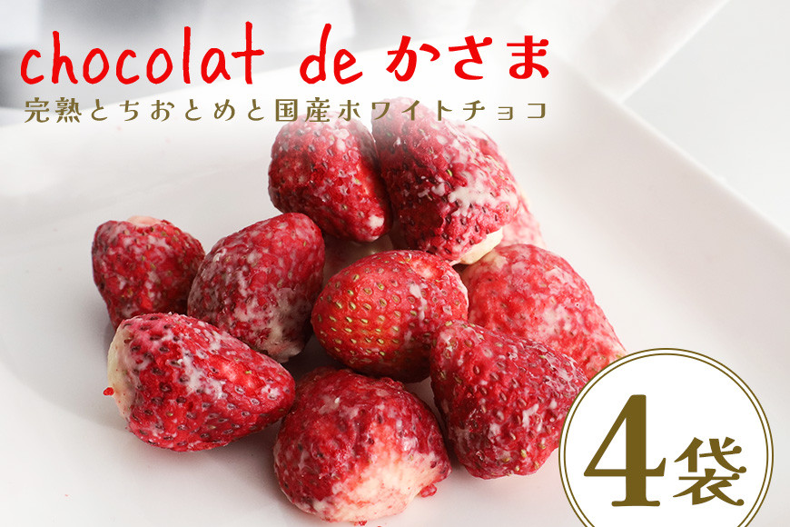 Chocolat de かさま おかしな果実ショコラ 完熟とちおとめの詰め合わせ BH-031