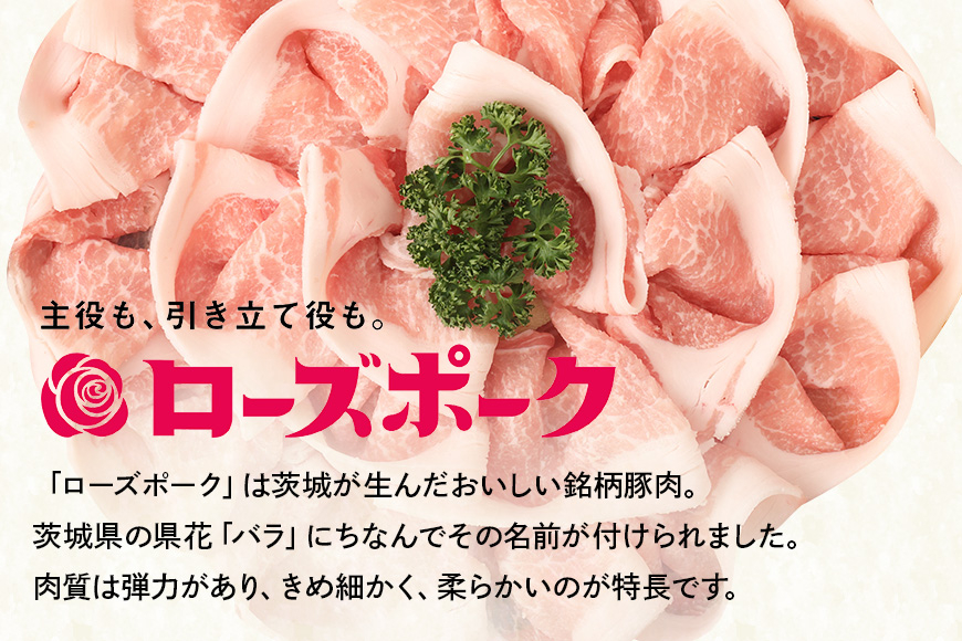彩美亭 かさま餃子 ローズポーク100個 HV-008