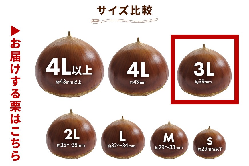 çæ 2kg ç¹å€§ 3Lãµã€ãº æ ãã åœç£ åœç£æ åæ ã®ãã ãã¬ãŒã³ã ç¹å€§ 倧ãã å€§ç² ç§ æ¬ ãã〠ã¹ã€ãŒã æç© ãã«ãŒã çŒãæ æ ã飯 æ ãããšã æ ããã ã¢ã«ããã¡ãŒã ã®çæ ç¡æ·»å æ çç£é æ¥æ¬äž èšå ãã°ãã GA-003