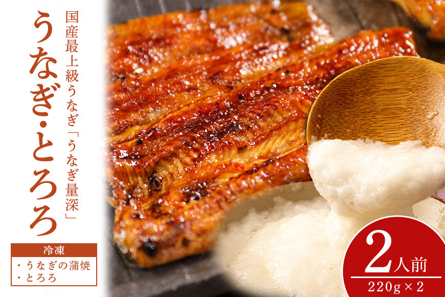 うなとろ 2人前セット 土用の丑の日 ウナギ うなとろ おすすめ 蒲焼き 蒲焼 国産 解凍 冷凍 加工品 土用 丑の日 お歳暮 お中元 お祝い 笠間市 茨城県 とろろ 老舗 贈答 贈り物 真空パック FJ-010