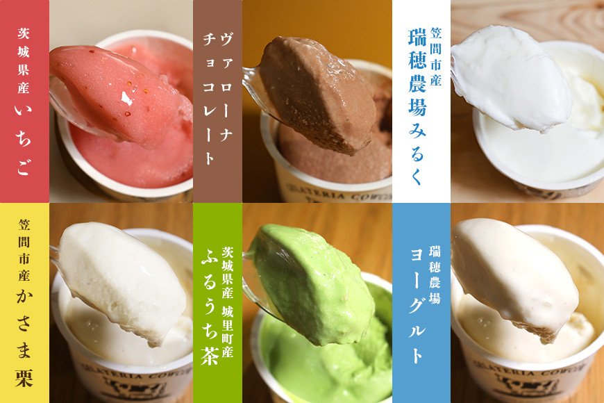 隨髢灘ク 繧ク繧ァ繝ゥ繝シ繝 6遞ョ隧ー繧∝粋繧上○ 6蛟九そ繝繝 驕薙ョ鬧縺九&縺セ JQ-001