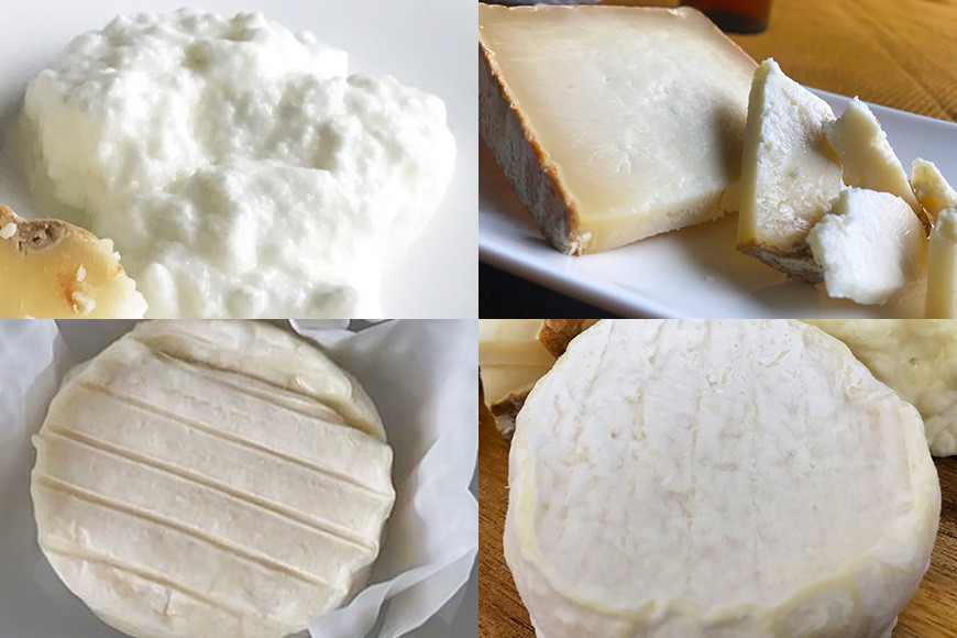 毎日ちょこっと しあわせチーズ FROMAGERIEつくばのおすすめ4点セット IR-002