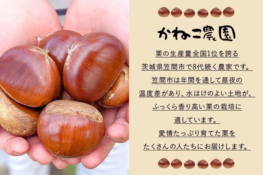 ã2026幎å
è¡äºçŽã èš³ããèããæ ïŒ500gÃ2ããã¯ïŒ æ°ééå® æ ãã ã¯ãª èš³ãã èš³ã¢ãª è ããæ åœç£ åœç£æ åæ æç© ãã«ãŒã ã®ãã ãã¬ãŒã³ã ç§ æ¬ ããã€ ç¬ é ãã㟠èšåç ãã°ãã