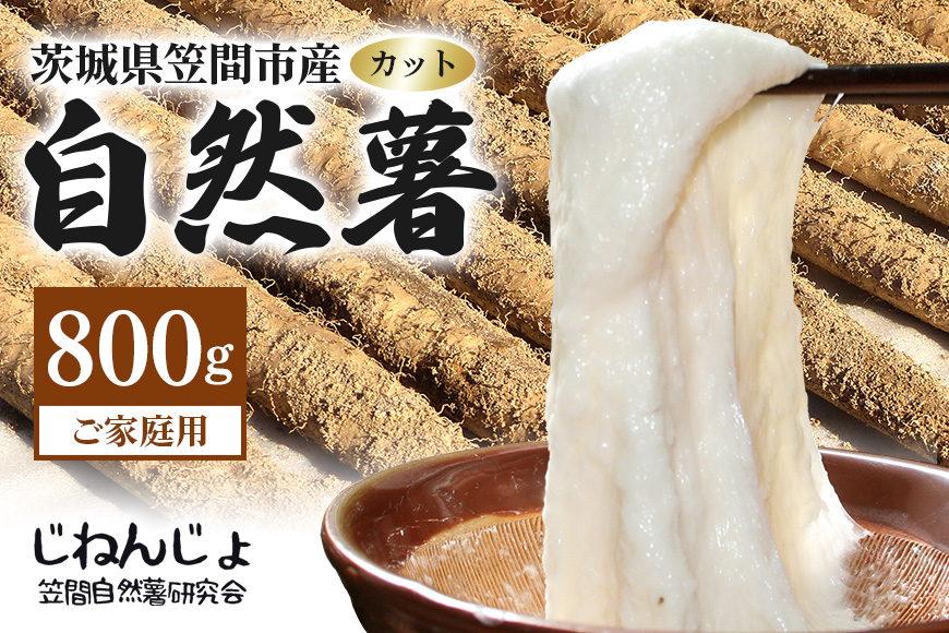 笠間自然薯研究会の自然薯カット ご家庭用 約800g 笠間自然薯研究会 自然薯 長芋 山芋 とろろ とろろご飯 野菜 ねばねば 健康食品 美容効果 笠間市産 茨城県産 栄養たっぷり ギフトに最適 新鮮 国内生産 高級根菜 美容 健康 美味しい 産地直送 滋養強壮 DG-004