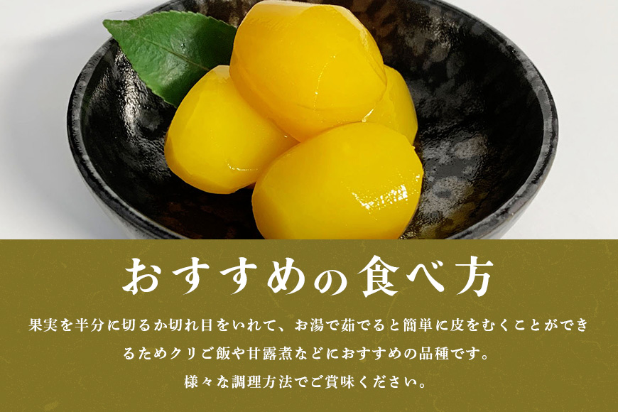 【2026年 秋 先行予約】 笠間の栗・箱田農園の生栗「ぽろたん」1kg（3L以上） 栗 クリ くり 生栗 期間限定 数量限定 茨城県 笠間市 JN-004
