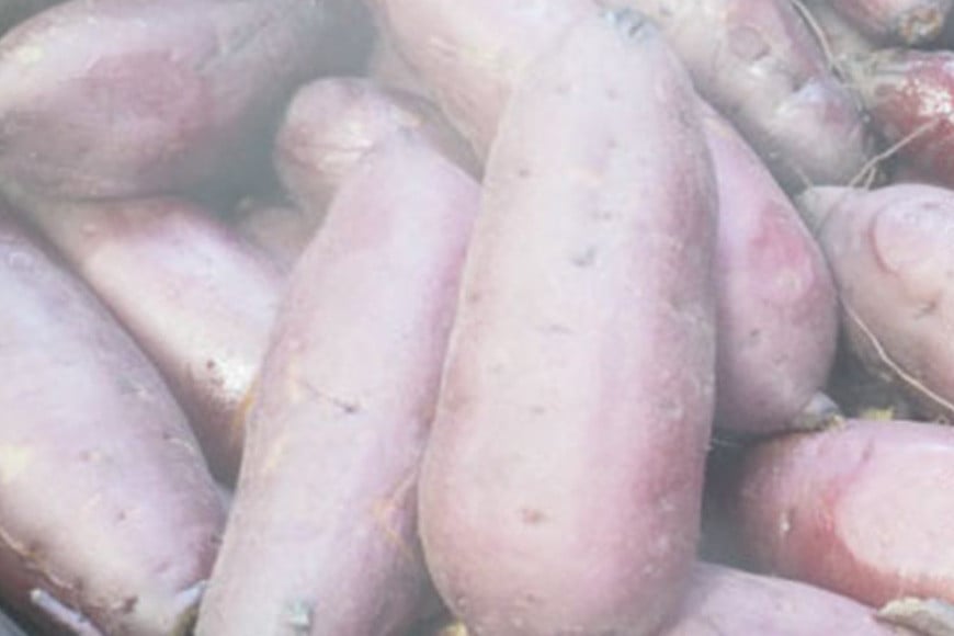 kamosã®æè(平干ã400gÃ3)çŽ
ã¯ãã 1.2kg å¹²ãè å¹²ããã åœç£ çŽ
ã¯ãã ã¹ã«ã¯ãã ãã€ãŸãã ãµããã€ã¢ 平干ã ãã〠ãèå åèå åã¹ã€ãŒã ã»ããã ã»ãè æããã ãã€ãšãã ã¹ã€ãŒã ç ç³äžäœ¿çš èšåç ç¬ éåž ãã°ãã <3/31ãŸã§åä»ã»1æããé æ¬¡çºéäºå®> BR-007