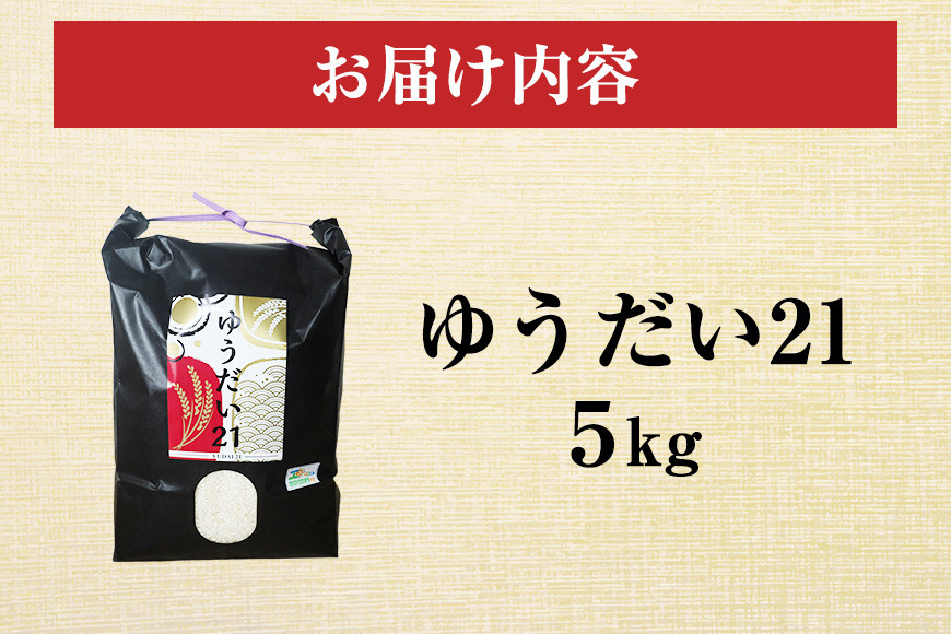 令和7年度産 金賞受賞米 笠間 塙商店の ゆうだい21 5kg 米 精米 ブランド米 お米 白米 国産 おにぎり 弁当 R7年産 ごはん おいしい 旨い ふっくら お米 茨城県 笠間市 いばらき ID-014