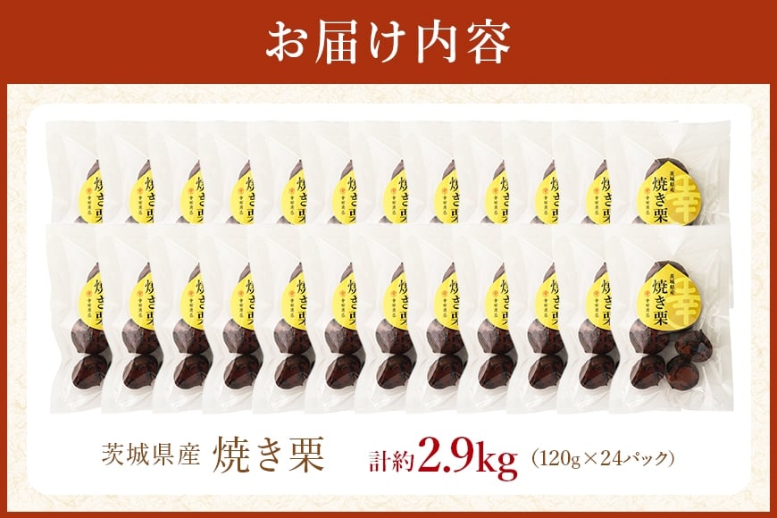 茨城県産 焼栗 12個セット×2 焼き栗 栗 国産 個包装 くり 和栗 甘栗 ギフト プレゼント 秋 旬 おやつ スイーツ 果物 フルーツ 電子レンジ レンジ調理 栗ご飯 栗ごはん 栗ジャム 栗きんとん モンブラン やきぐり 幸田商店 先行予約 笠間 茨城 いばらき KG-003