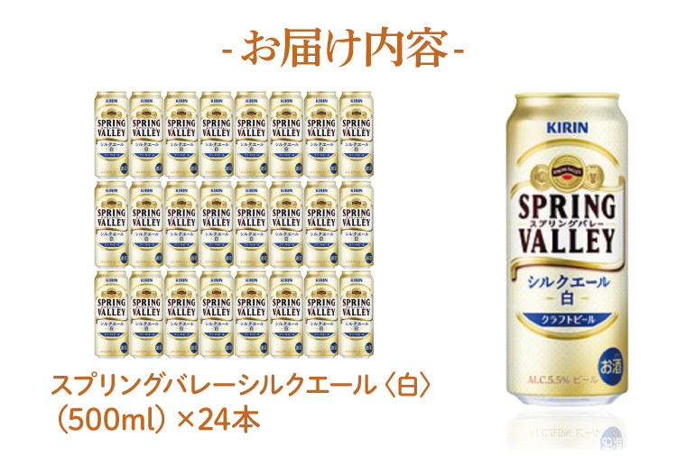 AB005-1　キリンビール取手工場産スプリングバレーシルクエール〈白〉500ml×24本