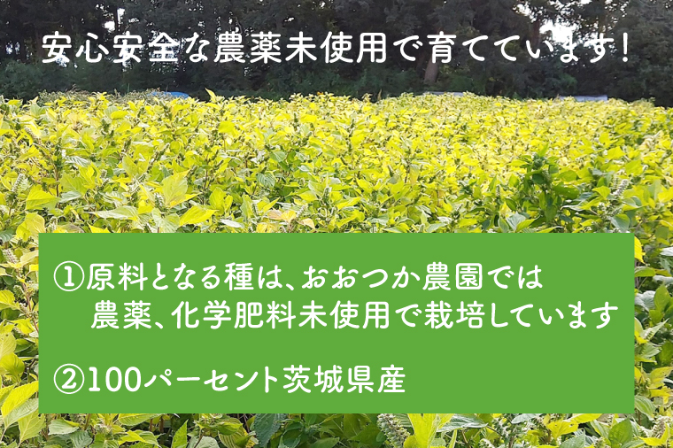 AI001　えごま油 110g　農薬未使用「国産」「未精製」