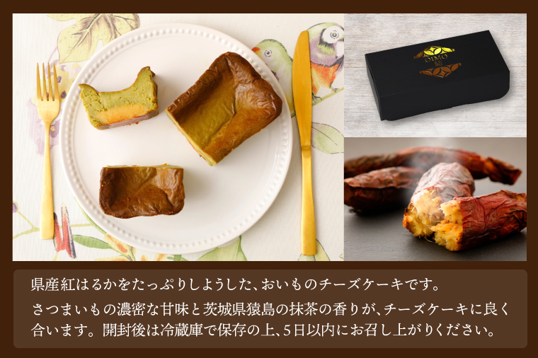 ãããã®çµããŒãºã±ãŒãã»ç¿å³¶æ¹è¶ïŒããŠã³ãåïŒïŒAN005ïŒ