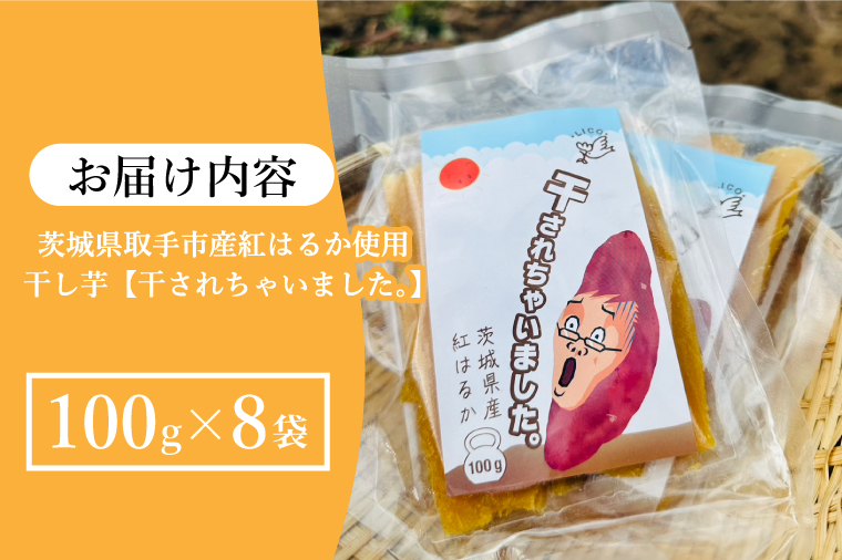 【先行予約】紅はるか 干し芋【干されちゃいました】100g×8袋（AS002-1）